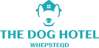 The Dog Hotel Whepstead